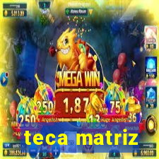 teca matriz